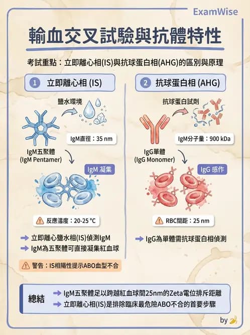 醫檢師 - 血液成分製備與輸血檢查 - AI 圖文解析預覽
