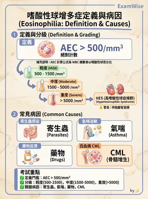 醫檢師 - 白血球生理與形態 - AI 圖文解析預覽