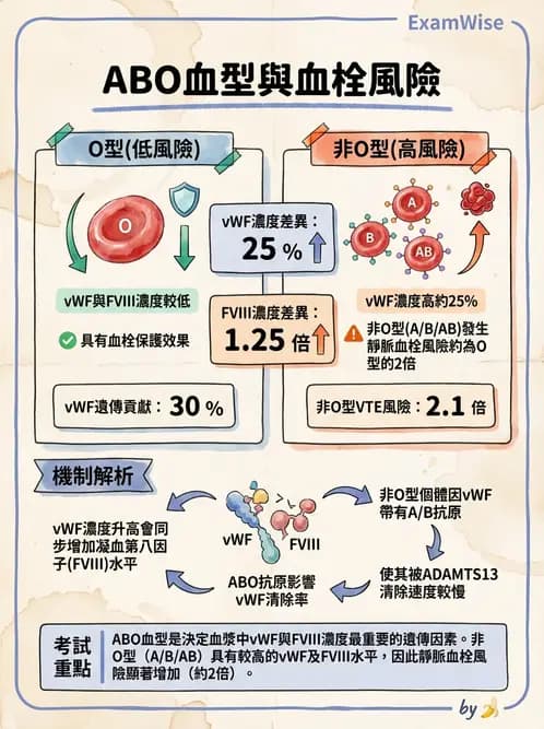 醫檢師 - 血栓性疾病與抗凝治療監測 - AI 圖文解析預覽