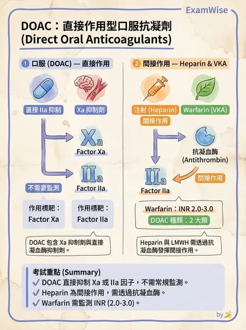醫檢師 - 血栓性疾病與抗凝治療監測 - AI 圖文解析預覽