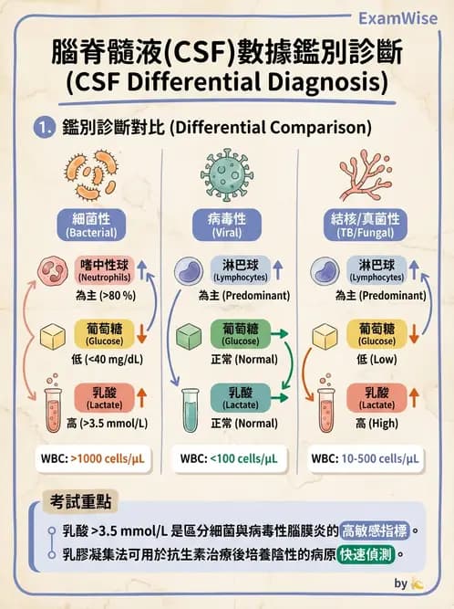 醫檢師 - 腦脊髓液檢查 - AI 圖文解析預覽