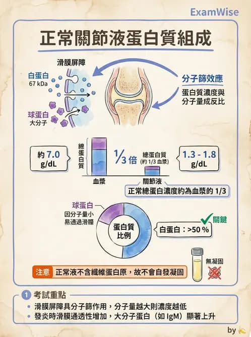 醫檢師 - 滑膜液檢查 - AI 圖文解析預覽