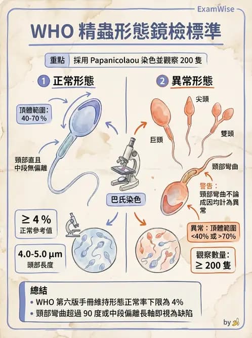 醫檢師 - 精液檢查 - AI 圖文解析預覽