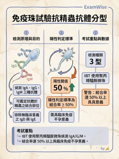 醫檢師 - 精液檢查 - AI 圖文解析預覽