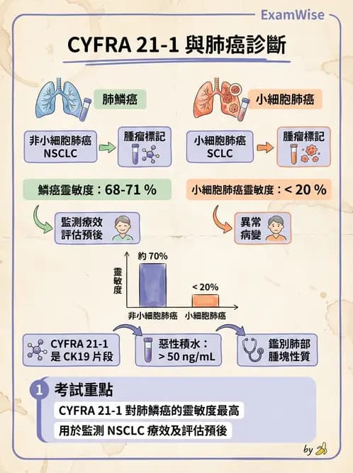 醫檢師 - 穿刺液檢查 - AI 圖文解析預覽