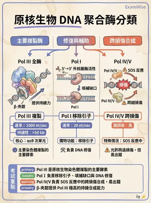 醫檢師 - 基礎分子生物學 - AI 圖文解析預覽