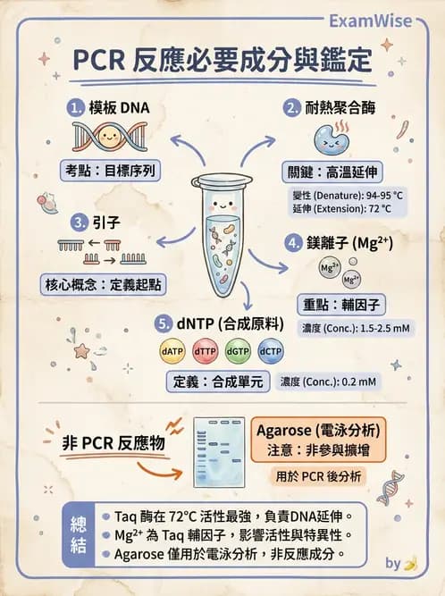 醫檢師 - 核酸擴增與萃取技術 - AI 圖文解析預覽