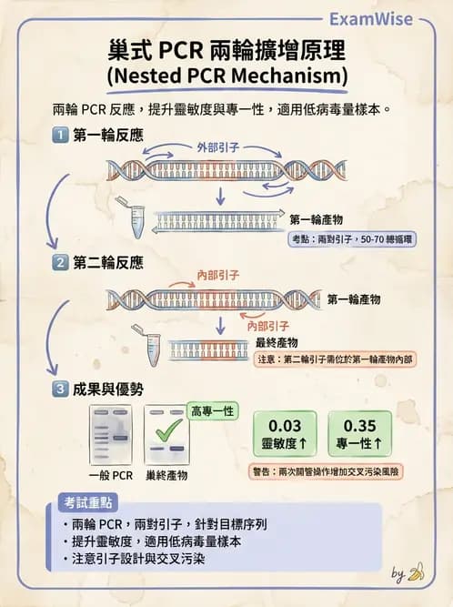 醫檢師 - 核酸擴增與萃取技術 - AI 圖文解析預覽