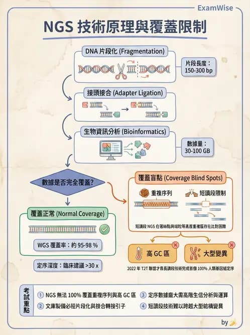 醫檢師 - 定序電泳與表觀分析 - AI 圖文解析預覽