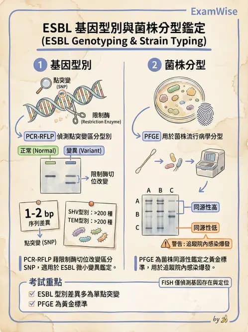 醫檢師 - 感染症分子檢驗 - AI 圖文解析預覽