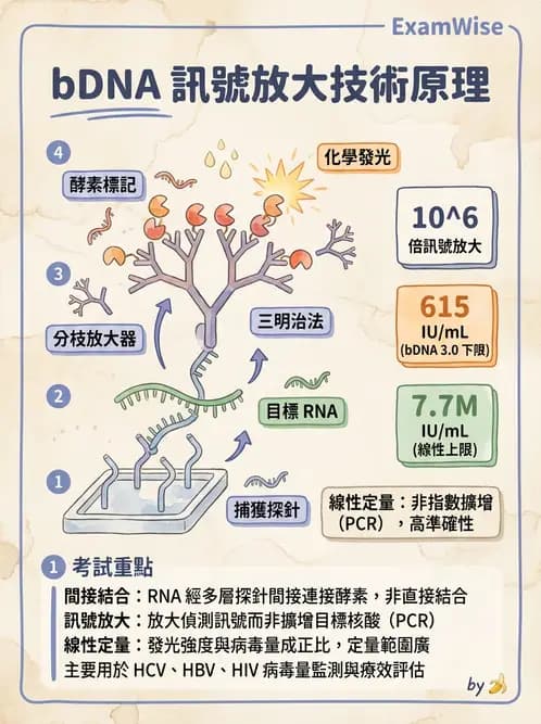 醫檢師 - 感染症分子檢驗 - AI 圖文解析預覽