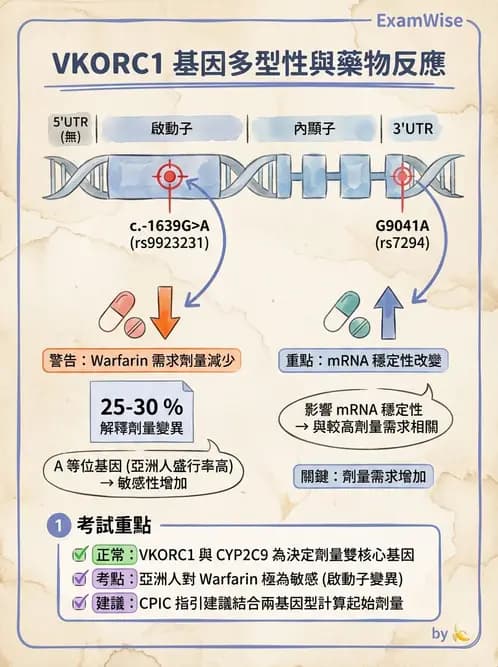 醫檢師 - 藥物相關基因檢測 - AI 圖文解析預覽