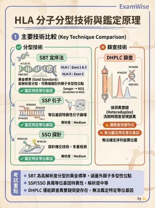 醫檢師 - 分子鑑定與應用技術 - AI 圖文解析預覽
