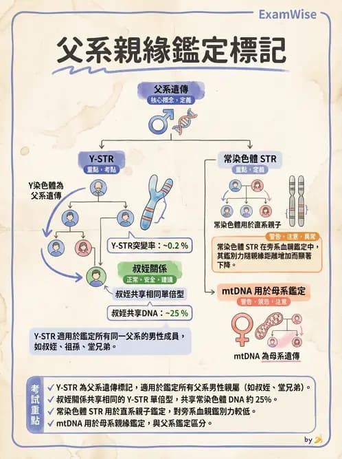 醫檢師 - 分子鑑定與應用技術 - AI 圖文解析預覽