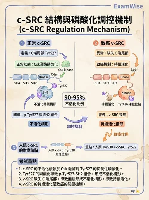 醫檢師 - 腫瘤疾病基因檢測 - AI 圖文解析預覽