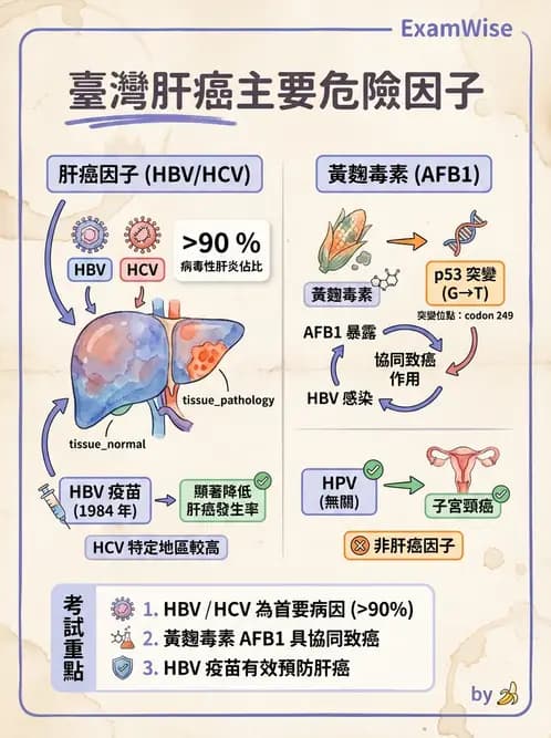 醫檢師 - 腫瘤疾病基因檢測 - AI 圖文解析預覽