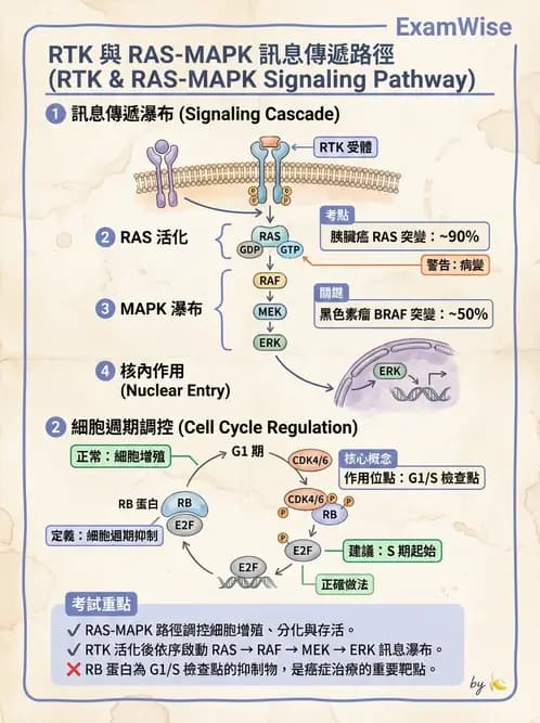 醫檢師 - 腫瘤疾病基因檢測 - AI 圖文解析預覽