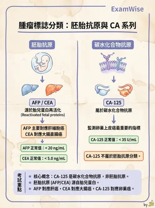 醫檢師 - 腫瘤疾病基因檢測 - AI 圖文解析預覽