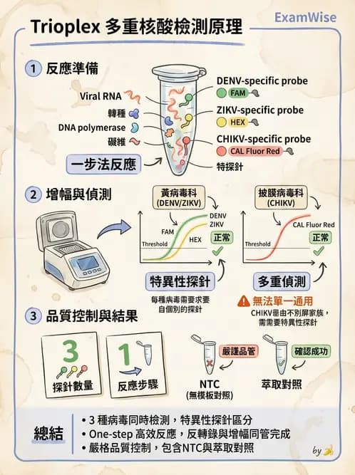醫檢師 - 感染症分子檢驗 - AI 圖文解析預覽