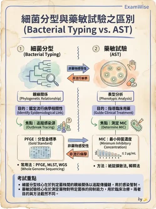 醫檢師 - 感染症與院內感染 - AI 圖文解析預覽