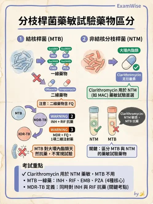 醫檢師 - 分枝桿菌 - AI 圖文解析預覽