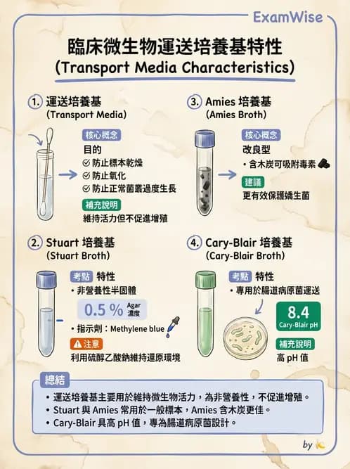 醫檢師 - 檢驗基礎技術 - AI 圖文解析預覽