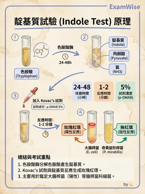 醫檢師 - 檢驗基礎技術 - AI 圖文解析預覽