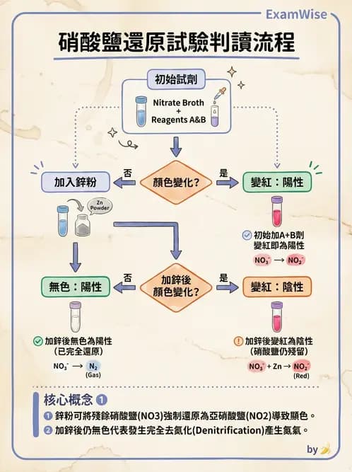醫檢師 - 檢驗基礎技術 - AI 圖文解析預覽