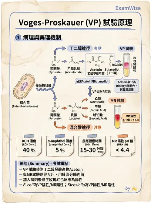 醫檢師 - 檢驗基礎技術 - AI 圖文解析預覽