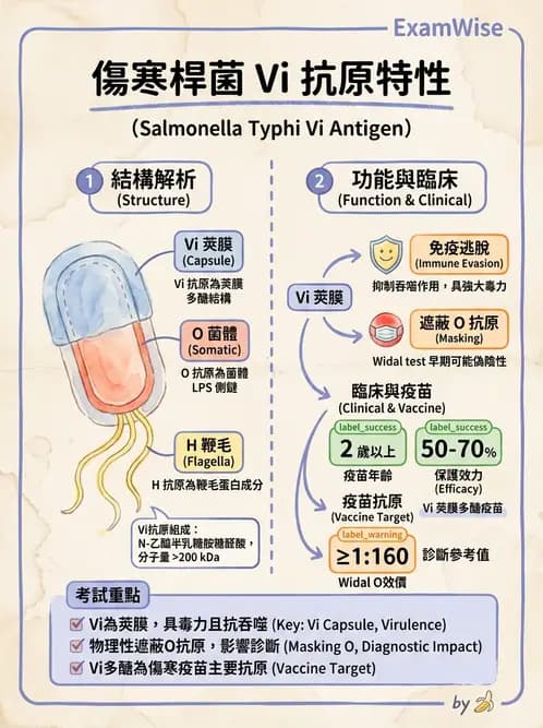 醫檢師 - 主要腸道致病菌 - AI 圖文解析預覽