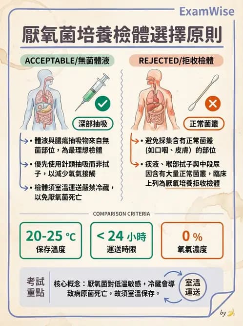 醫檢師 - 厭氧菌 - AI 圖文解析預覽