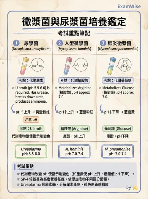 醫檢師 - 特殊病原體 - AI 圖文解析預覽