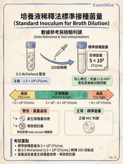 醫檢師 - 藥敏試驗方法 - AI 圖文解析預覽