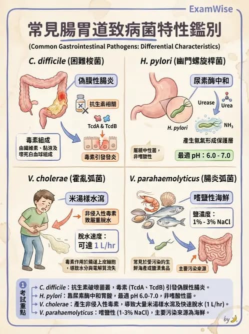 醫檢師 - 綜合性試題 - AI 圖文解析預覽
