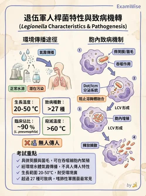 醫檢師 - 奈瑟菌與挑剔性革蘭氏陰性菌 - AI 圖文解析預覽