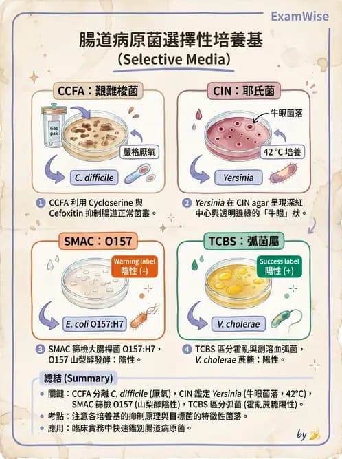 醫檢師 - 綜合性試題 - AI 圖文解析預覽