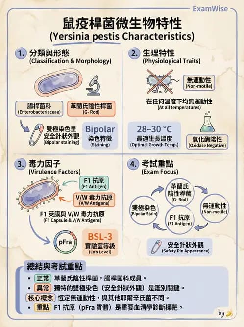醫檢師 - 其他腸內菌科 - AI 圖文解析預覽