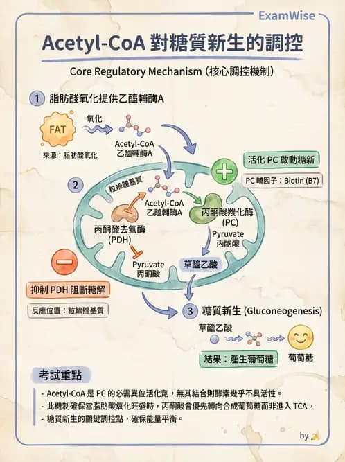 醫檢師 - 醣類代謝與糖尿病 - AI 圖文解析預覽