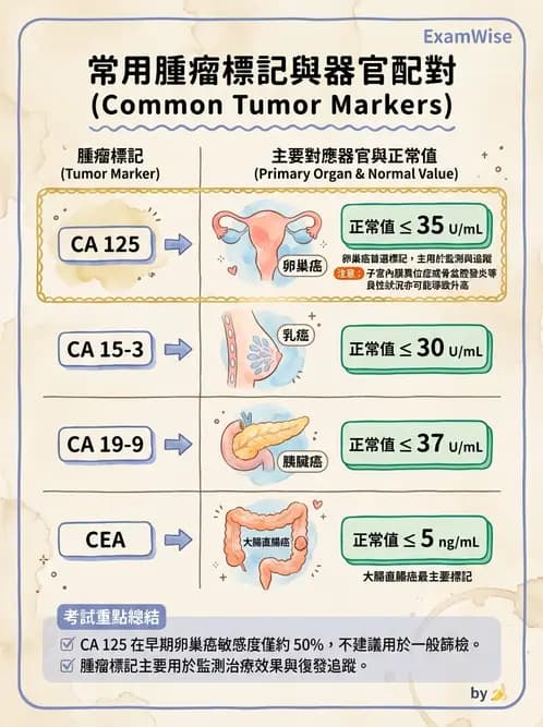 醫檢師 - 腫瘤標誌 - AI 圖文解析預覽
