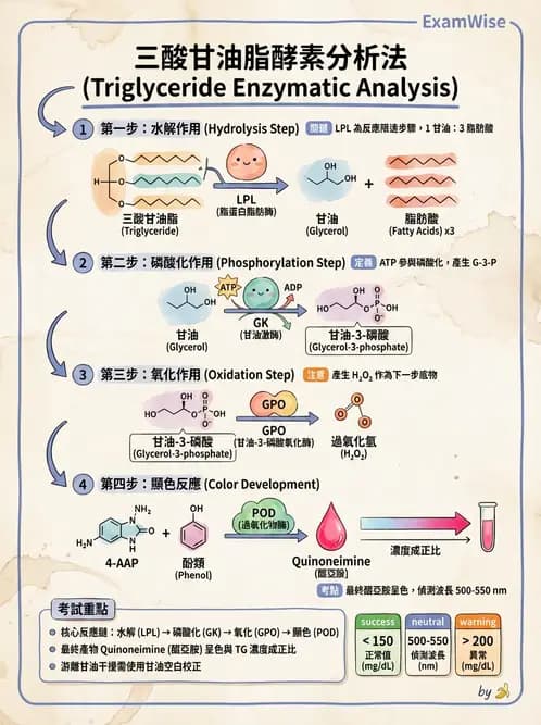醫檢師 - 脂質代謝與酮體 - AI 圖文解析預覽