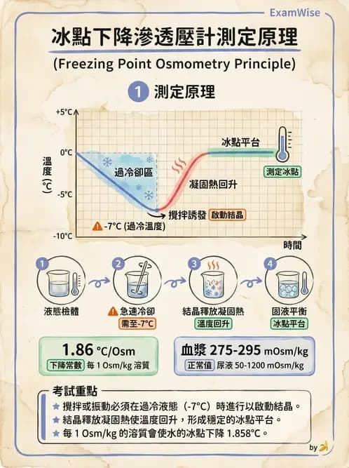 醫檢師 - 電解質與微量元素 - AI 圖文解析預覽