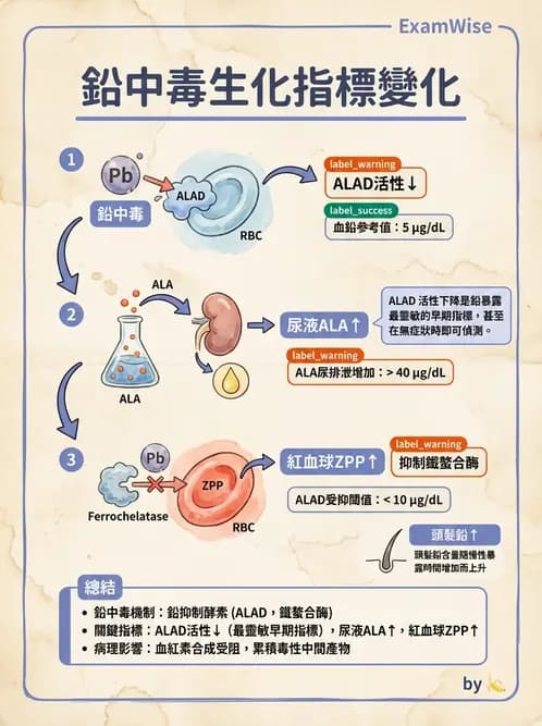 醫檢師 - 治療藥物監測與毒物學 - AI 圖文解析預覽