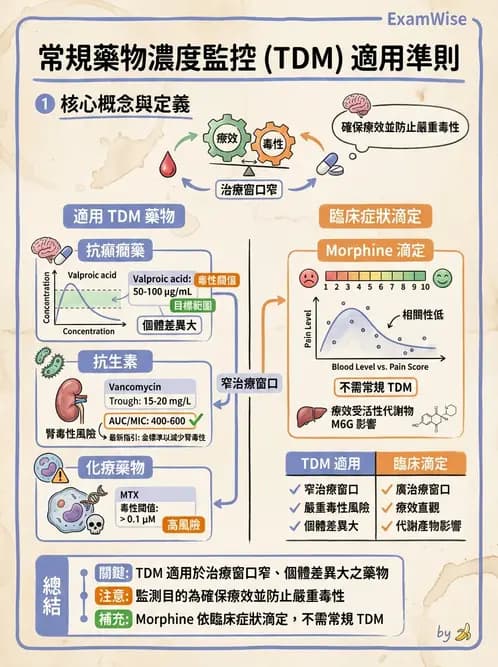 醫檢師 - 治療藥物監測與毒物學 - AI 圖文解析預覽
