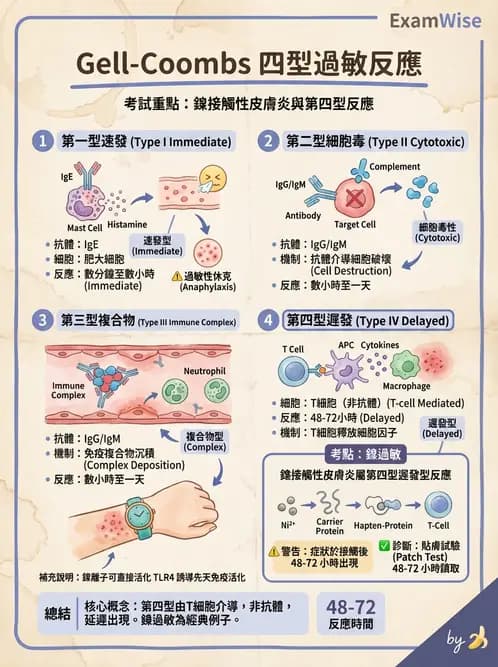 醫檢師 - 過敏反應及測試法 - AI 圖文解析預覽