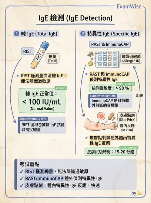 醫檢師 - 過敏反應及測試法 - AI 圖文解析預覽