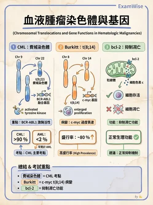 醫檢師 - 腫瘤免疫學免疫療法及疫苗 - AI 圖文解析預覽