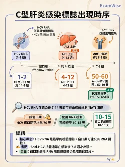 醫檢師 - 黃病毒科與蟲媒病毒 - AI 圖文解析預覽
