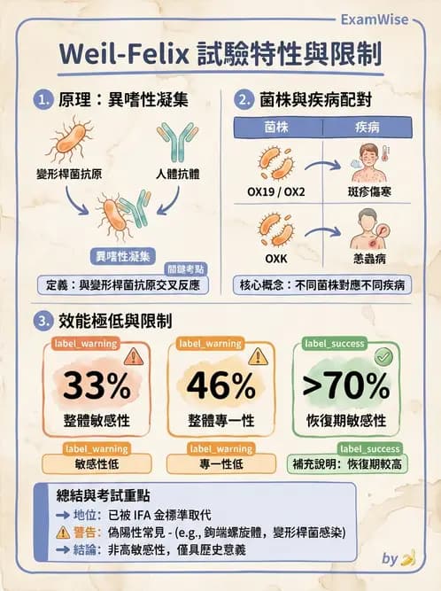 醫檢師 - 急性發炎蛋白與微生物感染血清學 - AI 圖文解析預覽