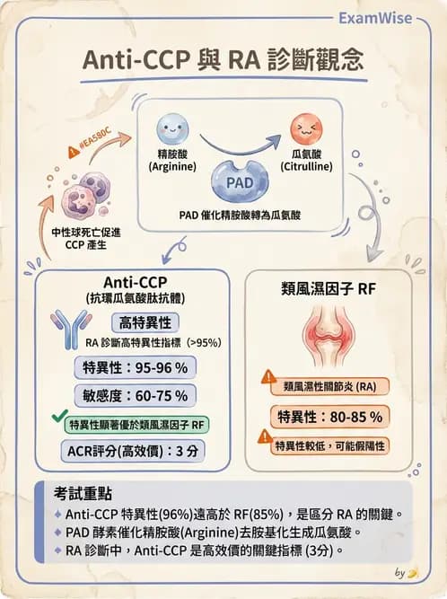 醫檢師 - 其他自體免疫疾病與自體抗體檢驗 - AI 圖文解析預覽