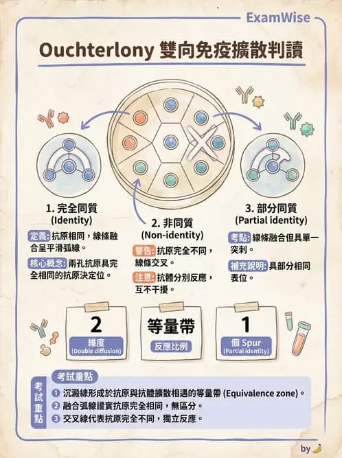 醫檢師 - 實驗室測試免疫法 - AI 圖文解析預覽